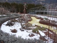  Kräuterschlössl Liebesgarten