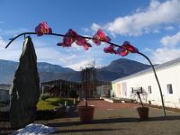  Orchideenwelt  Rabland