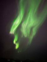 IMG 2812
