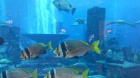 im Atlantis Hotel