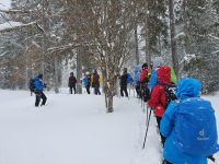 im Schneesturm unterwegs