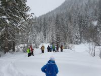 herrlicher Winterwald