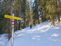 letzte Schneeschuhwanderung zur Falkenmoosalm