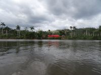 Der Fluss Toa
