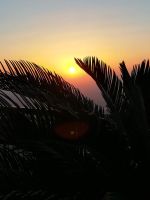 Al Ain - Sonnenuntergang am Jebel Hafeet