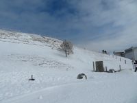 295 Auf der Rigi