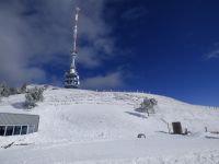 296 Auf der Rigi