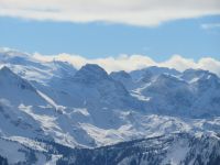 302 Auf der Rigi - Eiger, Mönch und Jungfrau