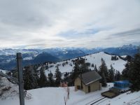 313  Rückfahrt von der Rigi -