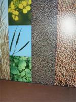 Tag 3 - 3 - Besuch der Senffabrik Fallot (5)