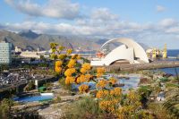 101 Nachmittagsstimmung