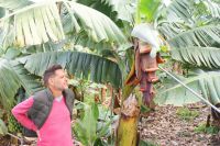 119 super interessante Führung