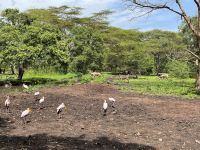 Unser Blick in der Mt. Meru Lodge