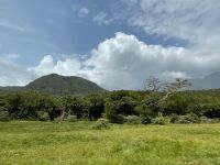  Arusha Nationalpark 