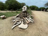 Fahrt zum Tarangire Nationalpark