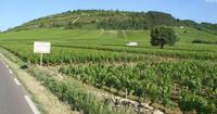 Tag 4 - 1 - Fahrt durch die burgundischen Weinberge nach Autun