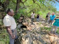 Safari im Lake Manyara Nationalpark