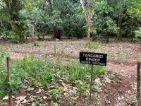 Rundgang auf der Gewürzfarm 