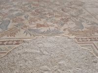 Berg Nebo - Mosaiken im Außengelände...