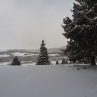 Villanderer Alm