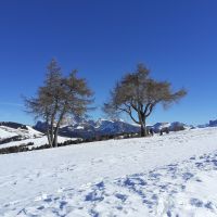 Seiser Alm