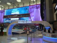 oder doch lieber Schlittschuhfahren?