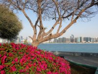 Blick auf die Skyline von Abu Dhabi