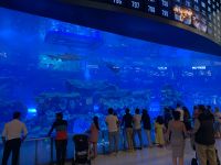 38DE01AA-F43B-41BA-B691-1156A2356F9B