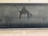 FFA71045-FB6B-4E3E-B9DF-326F2377DD46