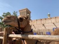 F87255B1-36AE-4498-9FB0-43B285DC1486