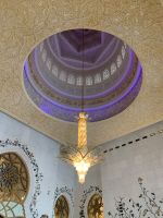 EA8F6E79-FBCD-49CC-8AC4-BA6783CBAB80