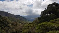 Tree Trek Hängebrückenwanderung