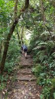 Tree Trek Hängebrückenwanderung