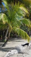 Estrella Beach