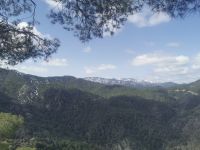 Und nochmal der Olymp