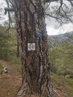 Wieder laufen wir auf dem E 4 Europawanderweg