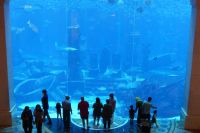 Aquarium im Atlantis Hotel