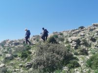 Ab und an gehts steil bergauf, aber das stört heut niemanden