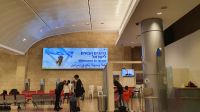 AnkunftinTelAviv.jpg