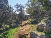 Weg auf der Akamas Halbinsel zum Bad der Aphrodite