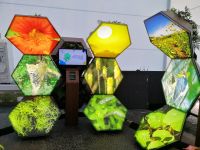 Pavillon Brasilien_ Amazonasbecken_Biodiversität