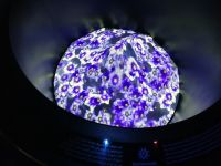 Pavillon der Schweiz_Enzian 