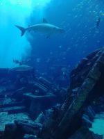 Aquarium Aqua Venture 