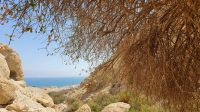 20220328 134727Wandern im Ein Gedi Nationalpark