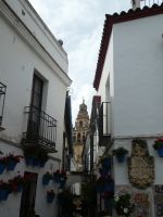 Cordobar Blumengasse