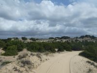 Donana Nationalpark