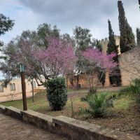 Garten Randa