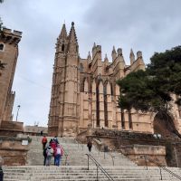 Palma