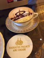 Abu Dhabi Teestunde Emirates Palace II