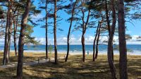 Dünenwald und Strand von Binz